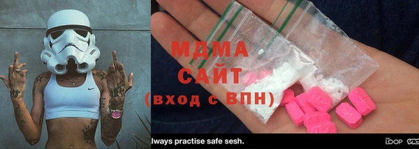 хмурый Аркадак