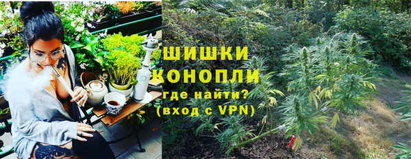 apvp Арсеньев