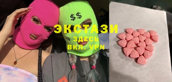 хмурый Аркадак