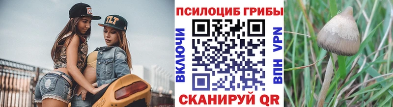Псилоцибиновые грибы GOLDEN TEACHER  Купить  Спасск-Рязанский 